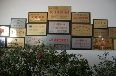 公司榮譽墻